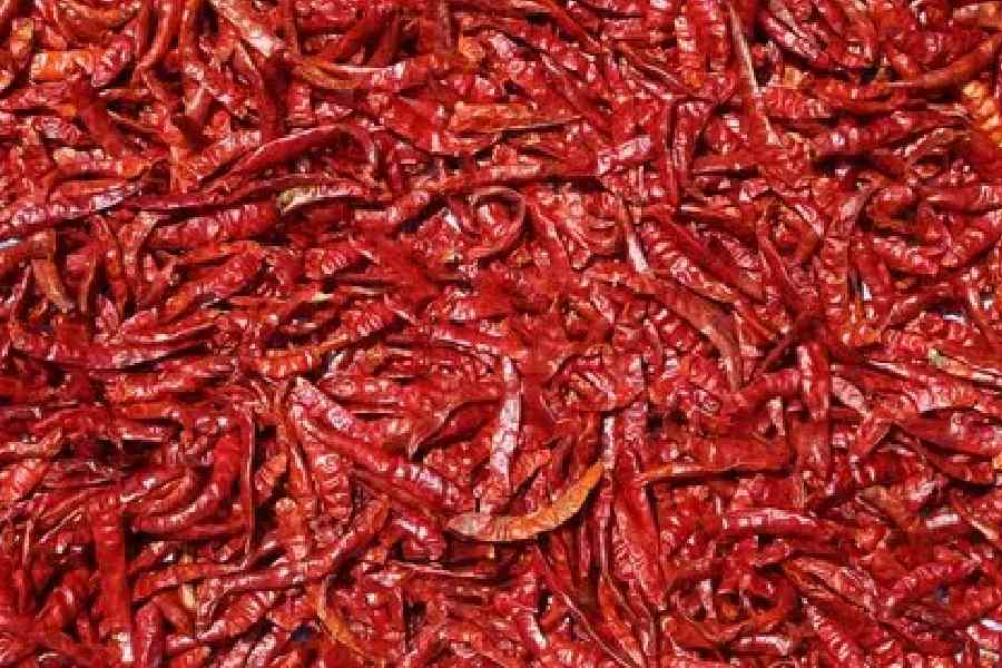 কী বলছেন চিকিৎসকেরা? দিল্লির ধর্মশীলা নারায়ণ হাসপাতালের গ্যাস্ট্রোএন্টেরোলজি বিভাগের সিনিয়র কনসালট্যান্ট চিকিৎসক মহেশ গুপ্ত বলেন, ‘‘বেশির ভাগ ক্ষেত্রেই লঙ্কার প্রদাহরোধী প্রভাব রয়েছে। যা অন্ত্রের প্রদাহ কমায় এবং ইরিটেবল বাওয়েল সিন্ড্রোম (IBS)-এর মতো রোগের উপশম ঘটায়। এর অ্যান্টিমাইক্রোবায়াল বৈশিষ্ট্যগুলি একটি সুস্থ অন্ত্রের মাইক্রোবায়োম বজায় রাখতে সাহায্য করে, যা সামগ্রিক হজমের ক্ষেত্রে গুরুত্বপূর্ণ।’’