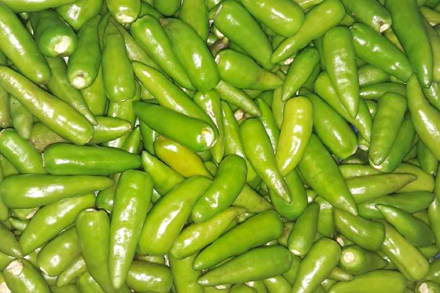 শেফ এবং লেখক অনাল কোটাকও বলেছেন: ‘‘অতিরিক্ত পরিমাণে কোনও লঙ্কাই খাওয়াই উচিত নয়। কারণ তা হজমের সমস্যা সৃষ্টি করবে এবং পাইলসের কারণও হতে পারে।”