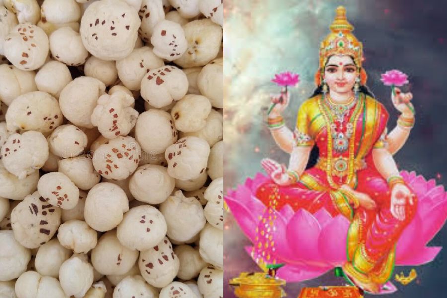 কোজাগরীর সন্ধ্যায় বা রাতে দেবীকে মাখানা নিবেদন করুন। পরিবারে সুখ, শান্তি, সমৃদ্ধি ও সৌভাগ্য বৃদ্ধি পাবে।