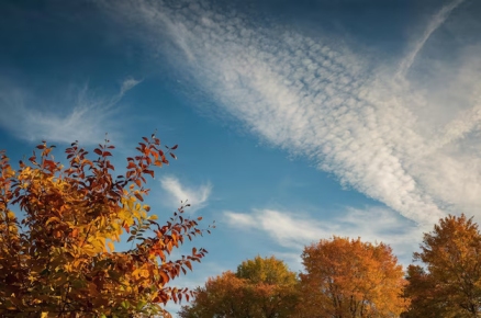 ঝকঝকে নীল আকাশ। পেঁজা তুলোর মতো মেঘের ফাঁকে সোনালি রোদের ঝিলিক।  বাকি সব ঋতুর চেয়ে শরৎকাল যেন বাঙালির একটু বেশিই প্রিয়। কারণ? এ সময়টাতেই যে সপরিবারে ঘরে ফেরেন উমা। ঢাকে কাঠি পড়তেই আকাশ-বাতাসে দুর্গাপুজোর আমেজ। আর ছুটি ছুটি মন! কোথাও বেড়াতে যাওয়ার এই তো মোক্ষম সময়!
