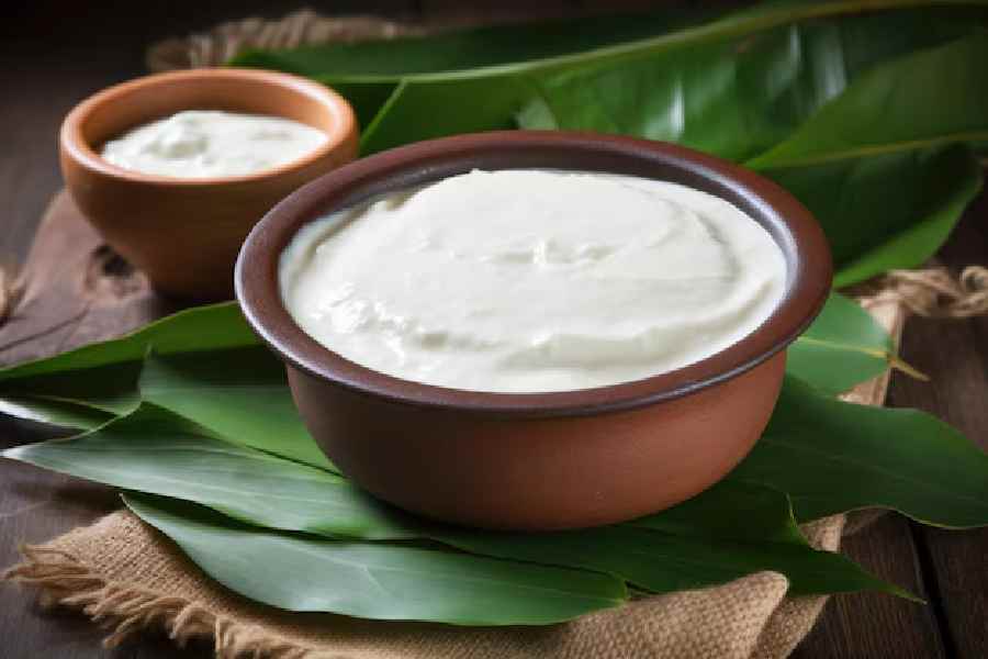 Easy steps to set thick curd dgtl