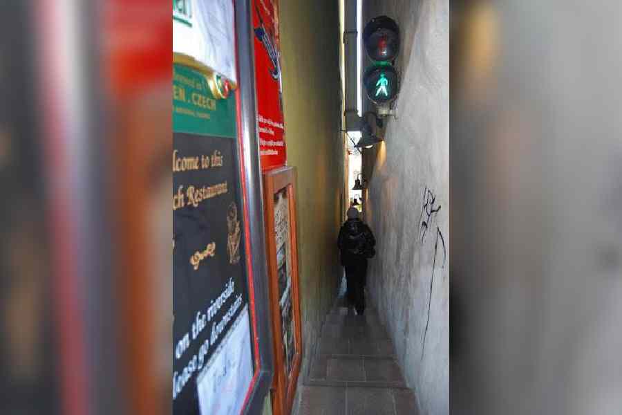 ছোট্ট ভিডিয়োয় সেই পথের চেহারা দেখে চমকে গিয়েছেন নেটিজেনরা। উৎসবের এই মরসুমেই ব্যাগপত্র গুছিয়ে সেই আজব গলির সন্ধানে বেরিয়ে পড়বেন নাকি আপনিও?