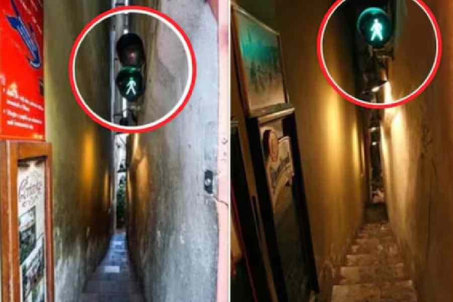 যাত্রীরা যাতে রাস্তার মাঝখানে আটকে না যান, তা নিশ্চিত করতে প্রবেশদ্বারে রয়েছে দু’টি ট্রাফিক লাইট।