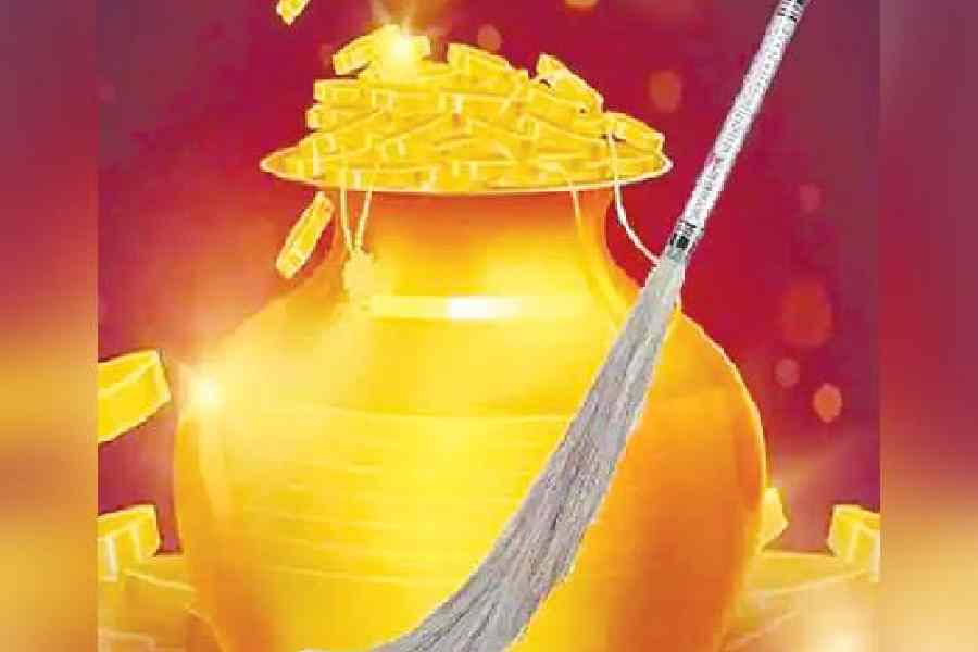 এ ছাড়াও অন্যান্য বিশ্বাস মতে, ধনতেরসে কেউ ঝাঁটা কিনলে তাঁর জীবন সুখ ও সমৃদ্ধিতে ভরে উঠতে পারে। 