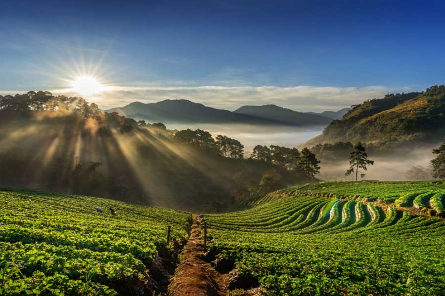 ভারতের ‘স্কটল্যান্ড’ কুর্গ।