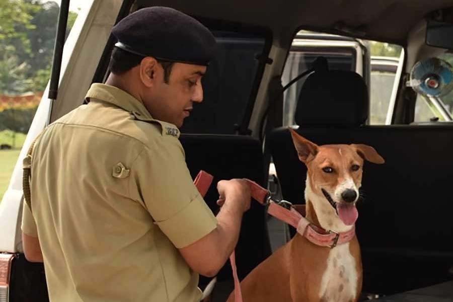 Police dog penny helped to recover crore stolen from farmer\\\\\\\'s house