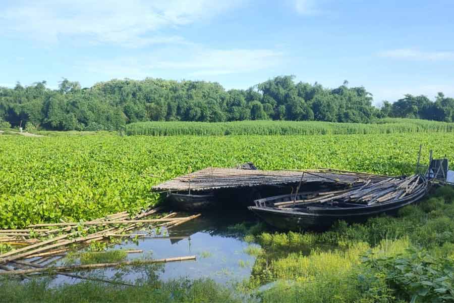 জলঙ্গি নদী।