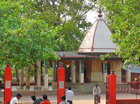 একান্নপীঠের শেষ পীঠ হিসেবে খ্যাত এই কঙ্কালীতলা। কথিত, এখানে দেবী সতীর কাঁখাল বা কোমর পড়েছিল। 