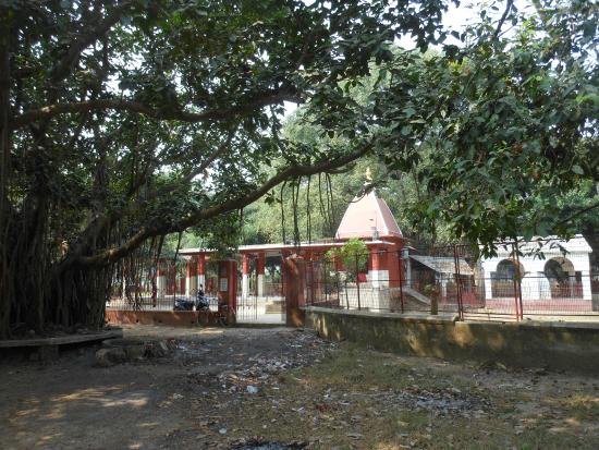 আজও কঙ্কালীতলা তন্ত্রসাধনার পীঠস্থান হিসেবে পরিচিত। কালীপুজোর সময় বহু মানুষ দূর-দূরান্ত থেকে ভিড় জমান এই স্থানে। এই প্রতিবেদনটি ‘আনন্দ উৎসব’ ফিচারের একটি অংশ।