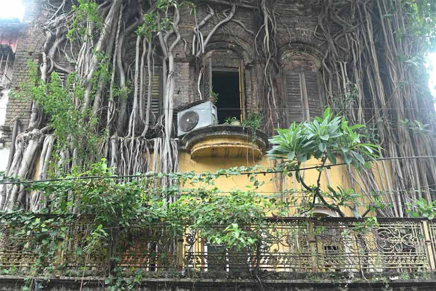 Residents of Dilapidated house do not want to leave home despite alert of Cyclone Dana