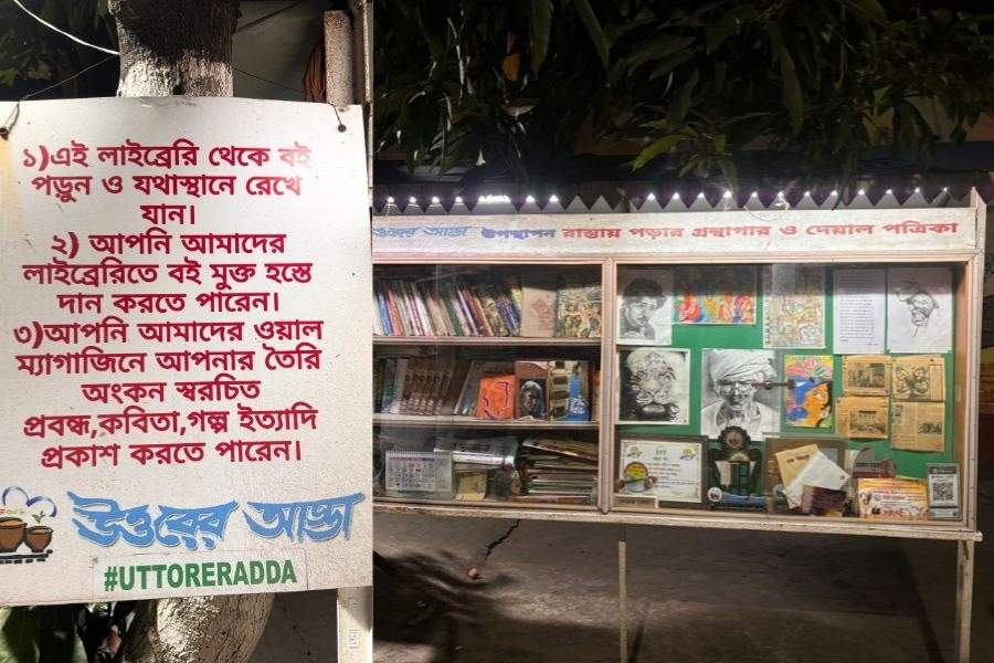 নিজস্ব চিত্র।