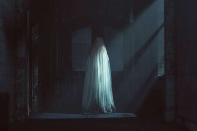 ভূত আসলে কী? মৃত্যুর পরের কোনও অস্তিত্ব? নাকি ভূত আসলে অতীত? যদি সেই অতীত হয় কোনও এক অন্ধকার সময়ের, তা হলে হয়ত সত্যিই তাকে ‘হন্টেড’ বলা যেতে পারে।