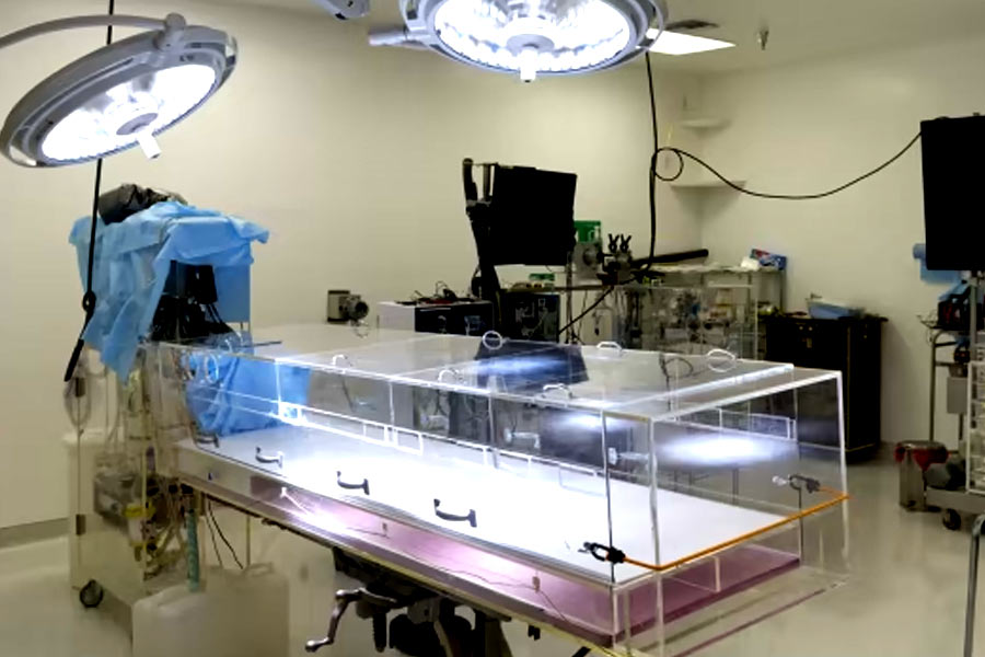 All you need to know about Cryonics dgtl