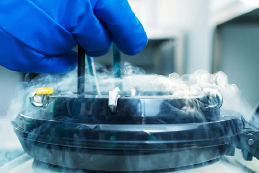 All you need to know about Cryonics dgtl