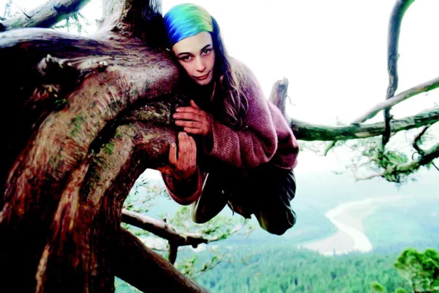 23 year old lady saved thousand years old ancient tree by living in it for 2 years in USA 