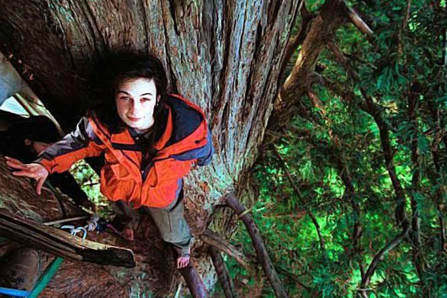23 year old lady saved thousand years old ancient tree by living in it for 2 years in USA 