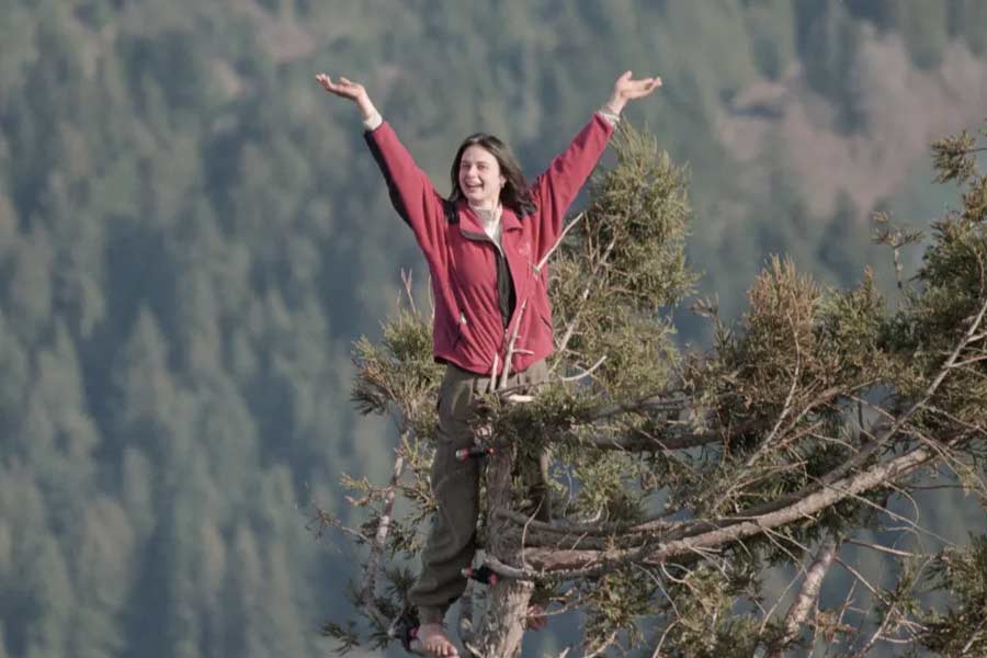 23 year old lady saved thousand years old ancient tree by living in it for 2 years in USA 