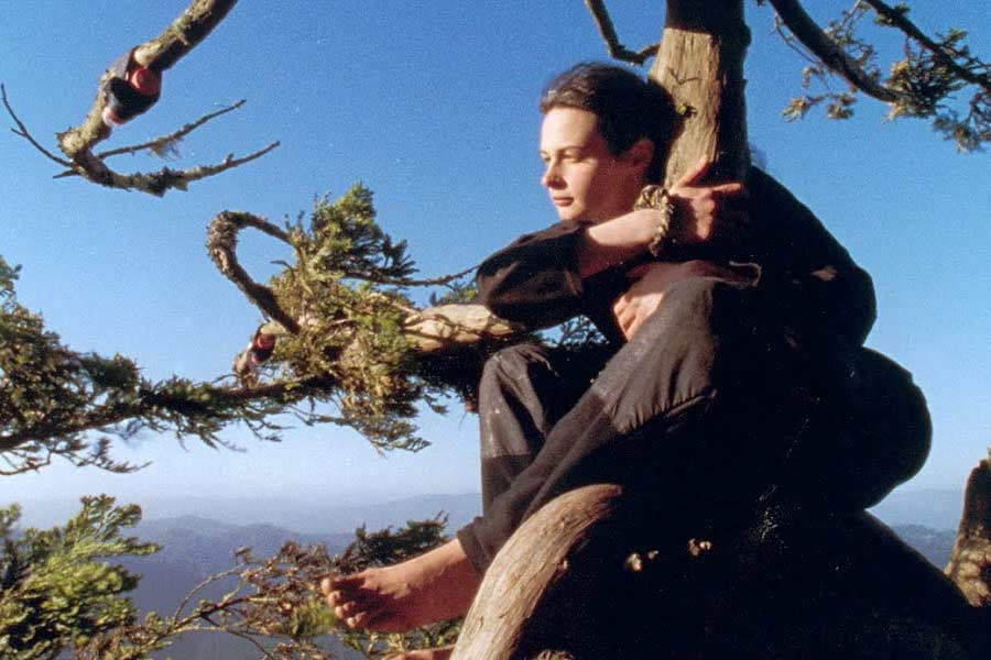 23 year old lady saved thousand years old ancient tree by living in it for 2 years in USA 