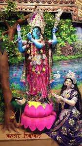 দেবীর বাৎসরিক পুজো অনুষ্ঠিত হয় মাঘ মাসের কৃষ্ণা চতুর্দশী বা রটন্তী চতুর্দশী তিথিতে। এ ছাড়াও যে সমস্ত স্থানে তাঁর মন্দির আছে, সেখানে নিত্য পুজো হয়। কৃষ্ণকালীর ধ্যান মন্ত্র অনুযায়ী, কৃষ্ণকালী চতুর্ভুজা, কৃষ্ণবর্ণা, চূড়ামুকুট মণ্ডিতা। 