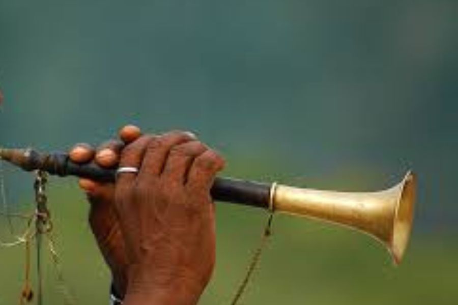 শুধু তাই নয়, দীপাবলির সময় দেবীর প্রিয় সানাই বাজানোরও রীতি রয়েছে এখানে। 