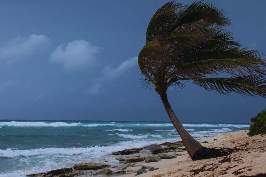 What to do and what not to do during, before and after Cyclone Dana approaches, WB Government alerts people