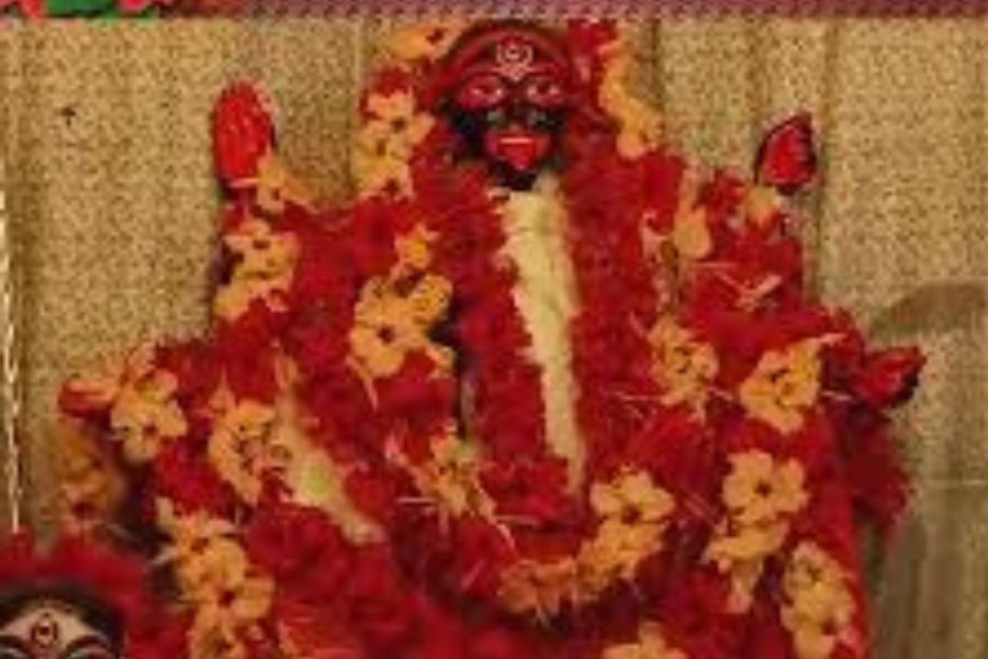 পুঁটে কালী: এখনও তন্ত্র মতে পুজো হয় এখানে। কালীপুজোর পরের দিন কুমারী পুজো ও অন্নকূট উৎসব হওয়ারও প্রথা রয়েছে। মাকে ভোগে দেওয়া হয় খিচুড়ি, লুচি, পোলাও, তরকারি, পাঁচ রকমের মাছ, খাস্তা কচুরি, চানাচুর ও পায়েস। ঠিকানা: ২০, কালী কৃষ্ণ ঠাকুর স্ট্রিট। 