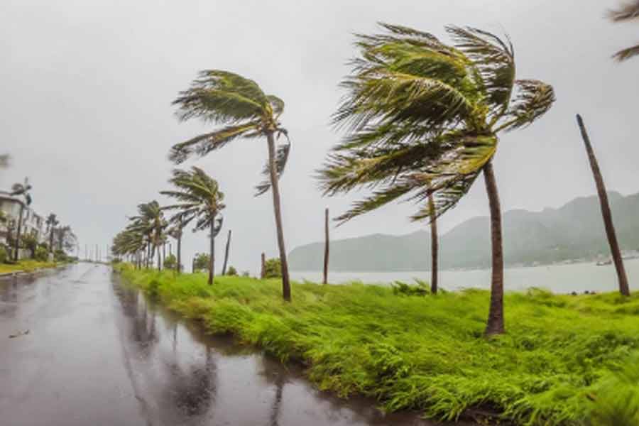 Almost 9 lakh farmers were affected due to Cyclone Dana