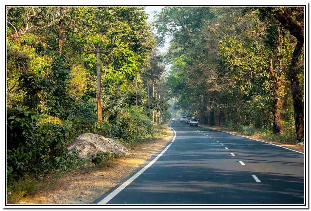পাহাড়ি রাস্তার পাশ দিয়ে যাওয়ার পথেই চোখে পড়ে মনোরম প্রাকৃতিক দৃশ্য, পাথর বেয়ে ঝরঝরিয়ে নামে পাহাড়ি ঝরনা। দার্জিলিং বা সিকিম যাওয়ার পথে পাহাড়ের কোলে এমনই একটি সুন্দর ছোট্ট জায়গা সেবক। 