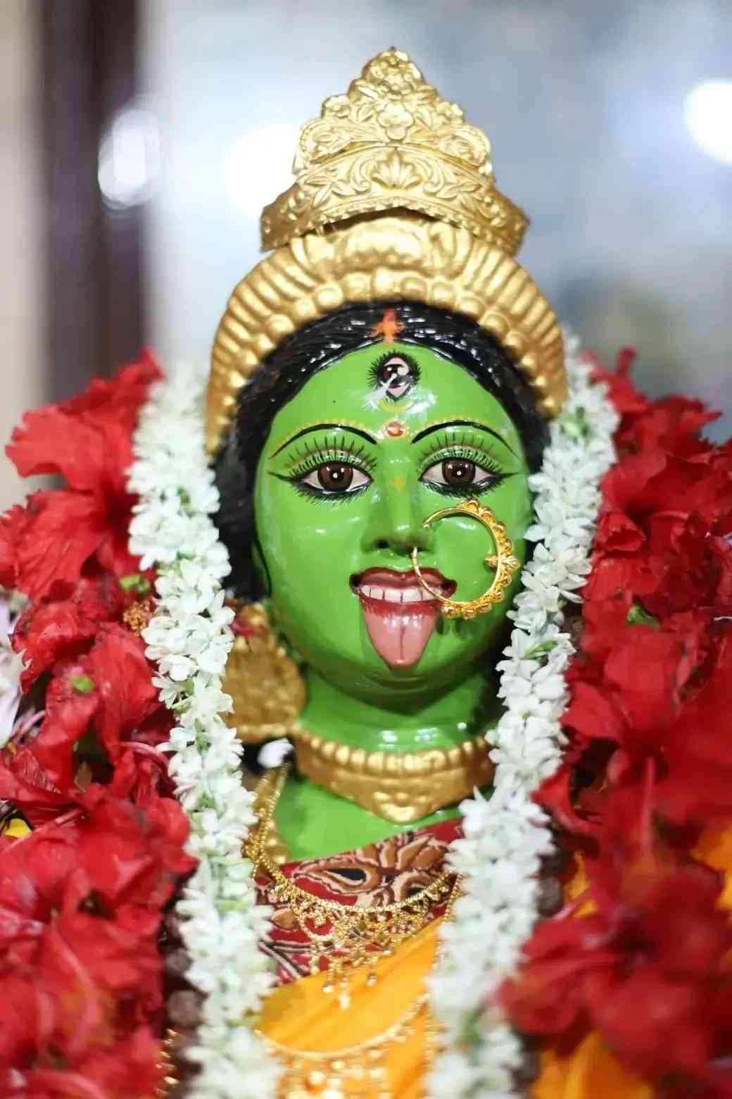 বটকৃষ্ণ অধিকারী লেখাপড়া শেষ করে চাকরিতে যোগ দিলেও বেশিদিন তাতে মন বসাতে পারেননি। গ্রামে ফিরে গরু পালন, চাষবাস প্রভৃতি নিয়েই বেশি থাকতে ভালবাসতেন ।