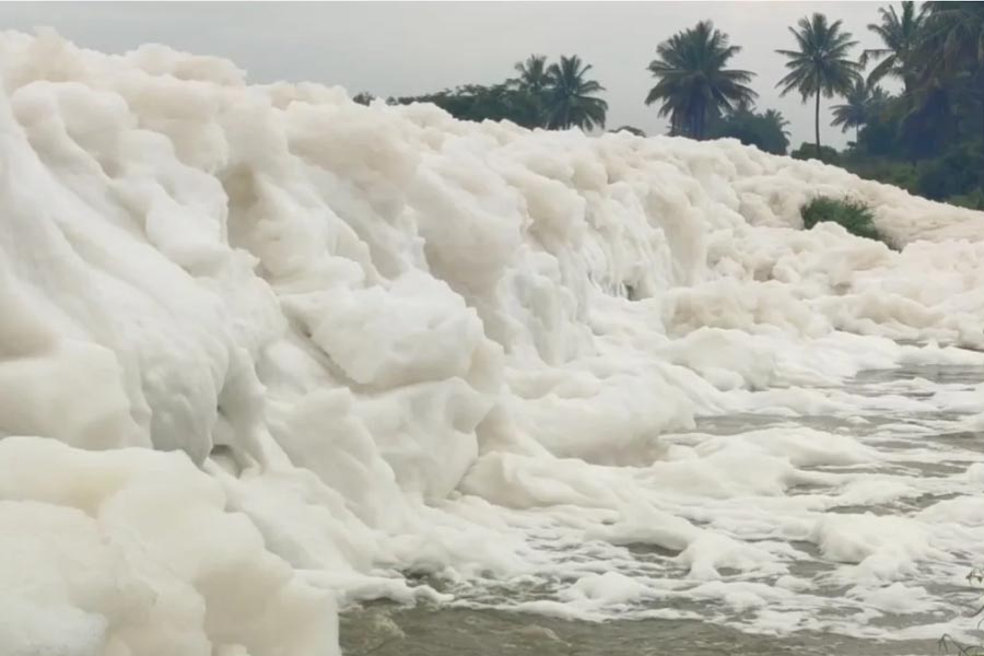 বৃহস্পতিবার সকালে তামিলনাড়ুর হোসুর শহরে রাস্তার উপর জমে সাদা ফেনা।