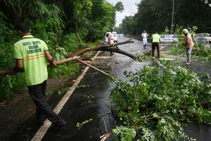 Kolkata Municipal Corporation leaving no stone unturned to tackle the situation post cyclone dana landfall