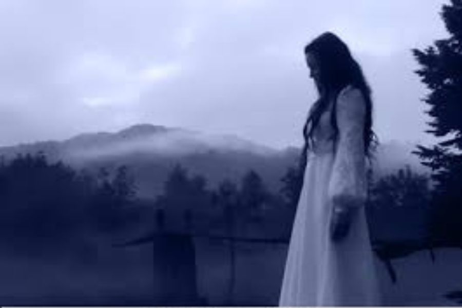  অথচ মাঝে মধ্যেই নাকি এক জন অত্যধিক ফর্সা মহিলাকে এখানে ঘুরে বেড়াতে দেখা যায়। কথিত, প্যালেসের কেউ যখন মারা যায়, তখনই নাকি তাঁকে দেখা যায়। তিনি একটি গাউন পরে থাকেন। এই মহিলা সম্ভবত জার্মানির। 