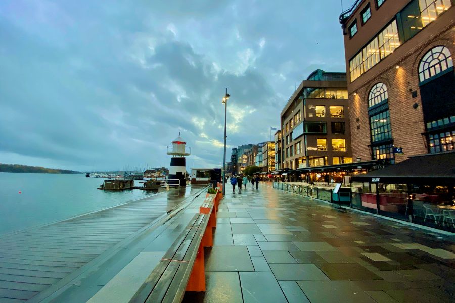 জাহাজ অসলোতে ঢোকার সময়ে প্রথমেই চোখে পড়বে অসলো ফিয়র্ড। ছোট ছোট দ্বীপপুঞ্জের বেষ্টনীতে আবদ্ধ রয়েছে দুরন্ত সফেন সমুদ্র। মাঝে মধ্যে দুয়েকটা বাড়িও চোখে পড়ে। যাঁরা থাকেন সেই সব বাড়িতে, তাঁদের রয়েছে নিজস্ব জলবাহন।