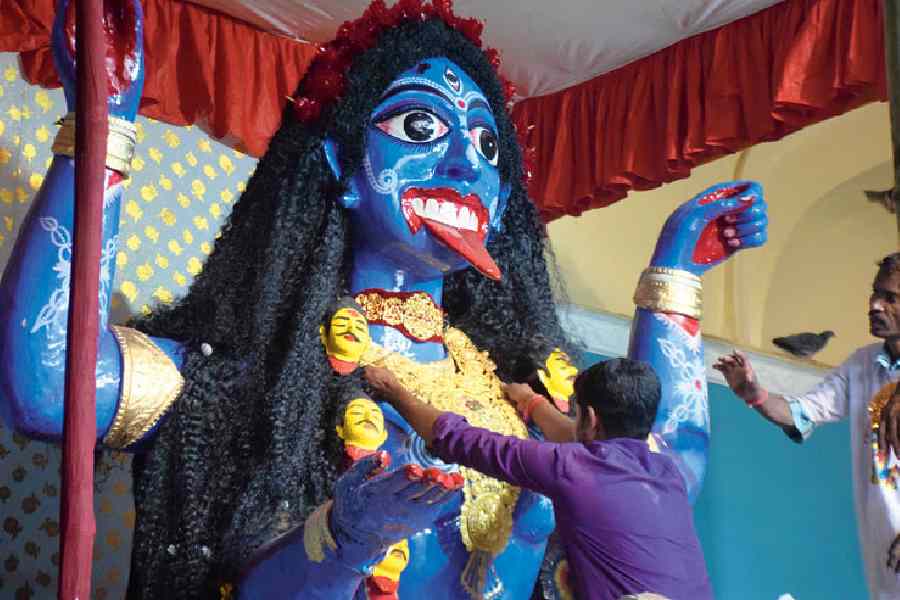 বোল্লা কালী মন্দিরটি স্থাপত্যের দিক থেকে অত্যন্ত সুন্দর। বহু প্রাচীন মন্দির এটি। মন্দিরের চারপাশে বিভিন্ন দেব-দেবীর মূর্তি রয়েছে।