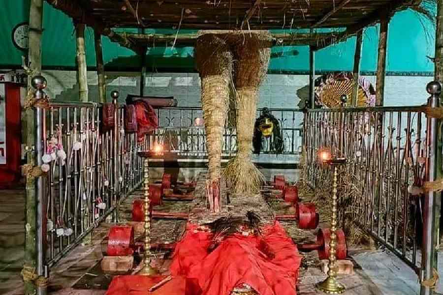 এই পূজায় পশ্চিমবঙ্গের বিভিন্ন প্রান্ত ছাড়াও বাংলাদেশ থেকেও অনেক ভক্তরা আসেন। লক্ষাধিক ভক্তের সমাগম হয় এই পুজো।