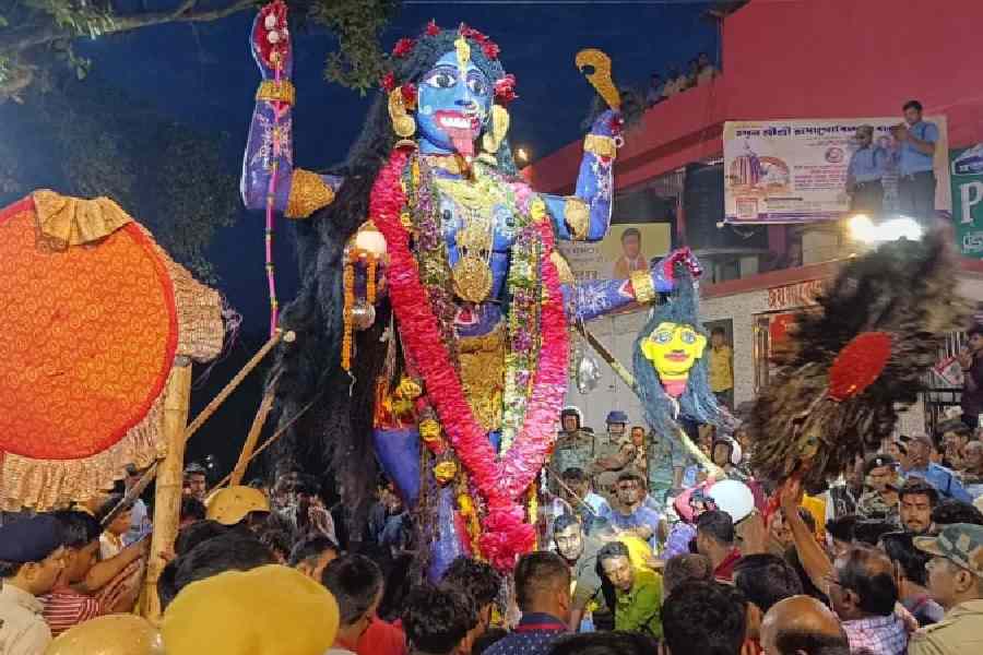 কিন্তু হাইকোর্টে খারিজ হয়ে যায় এই বলি বন্ধ করার আর্জি। এর পিছনে কি আছে কোনও রহস্য? থাকলেও তা আজও অজানা। এখনও ধুমধাম করে দশ হাজার পাঁঠা বলি সহ হয় বোল্লা মায়ের পুজো। 