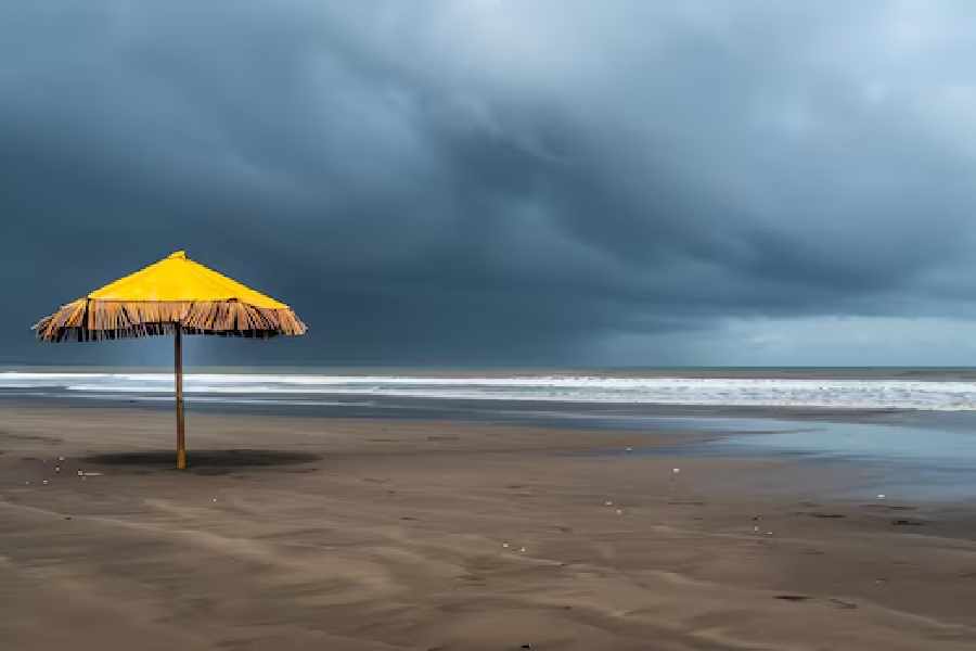 পারাপ্লুই দে শেবোর্গ এমন সব ছাতা তৈরি করে যা চরম আবহাওয়া সহ্য করতে পারে। এখানে কয়েকটি মডেলের নাম দেওয়া হল