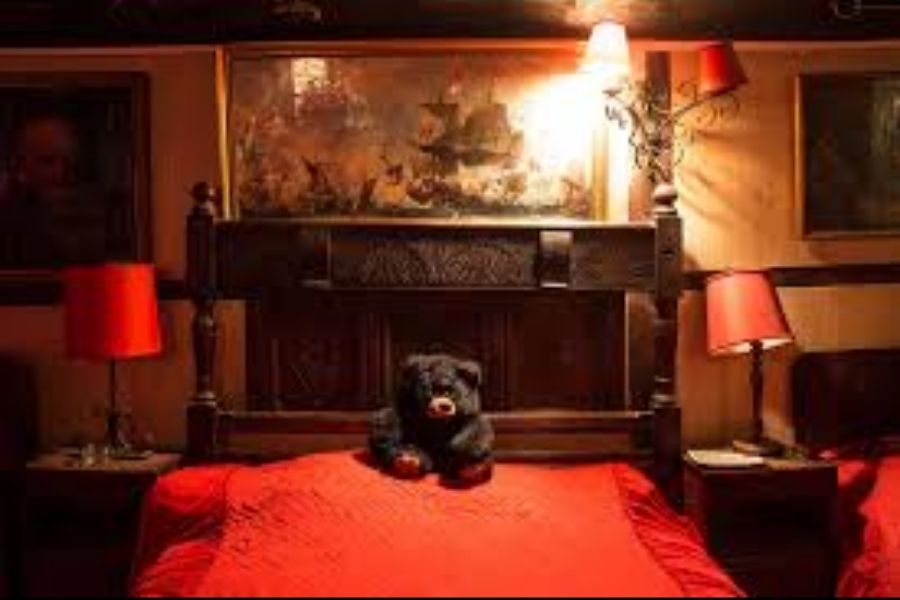 সেই সফরের গোড়ায় আবার বলেও দেওয়া হয়, ‘এসেছেন বটে, তবে ঝুঁকি আছে। তার দায়িত্ব আপনার নিজের।’