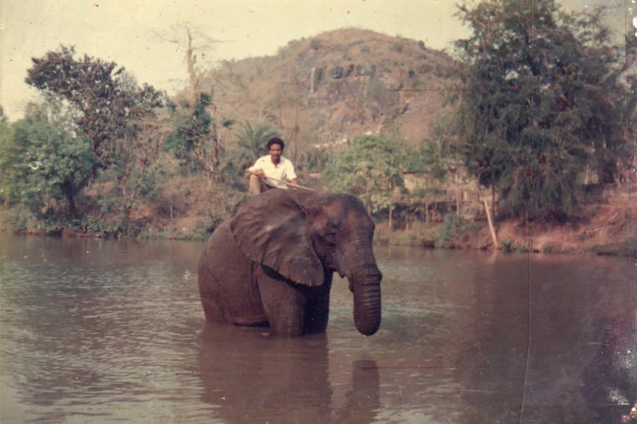 Elephant-Human conflict cannot be solved with a magic wand