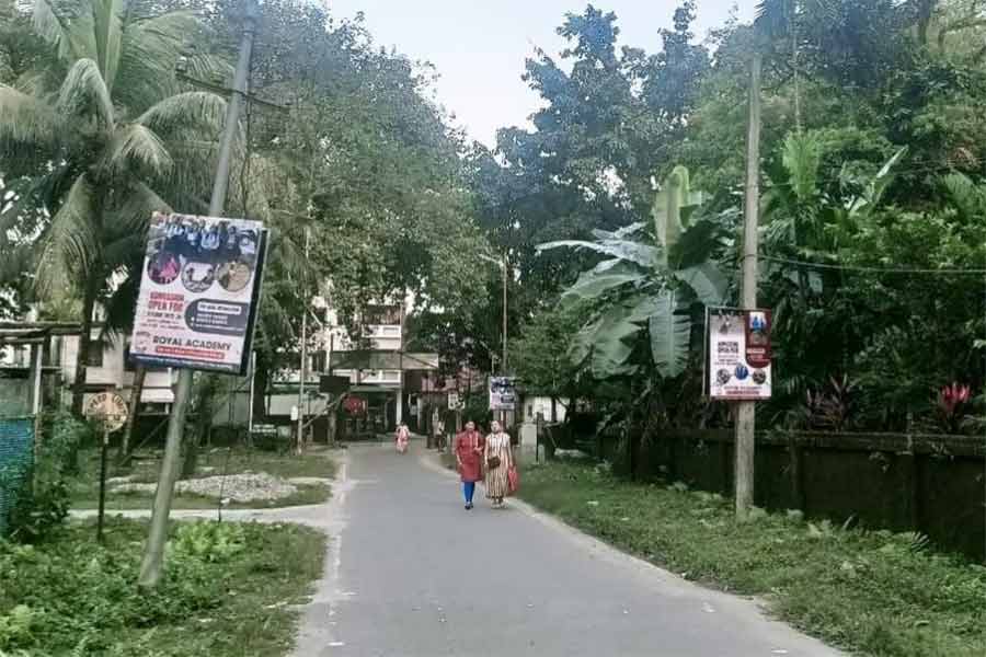 উত্তরবঙ্গ বিশ্ববিদ্যালয়ের ক্যাম্পাসে বেসরকারি হোর্ডিং (চিহ্নিত)।