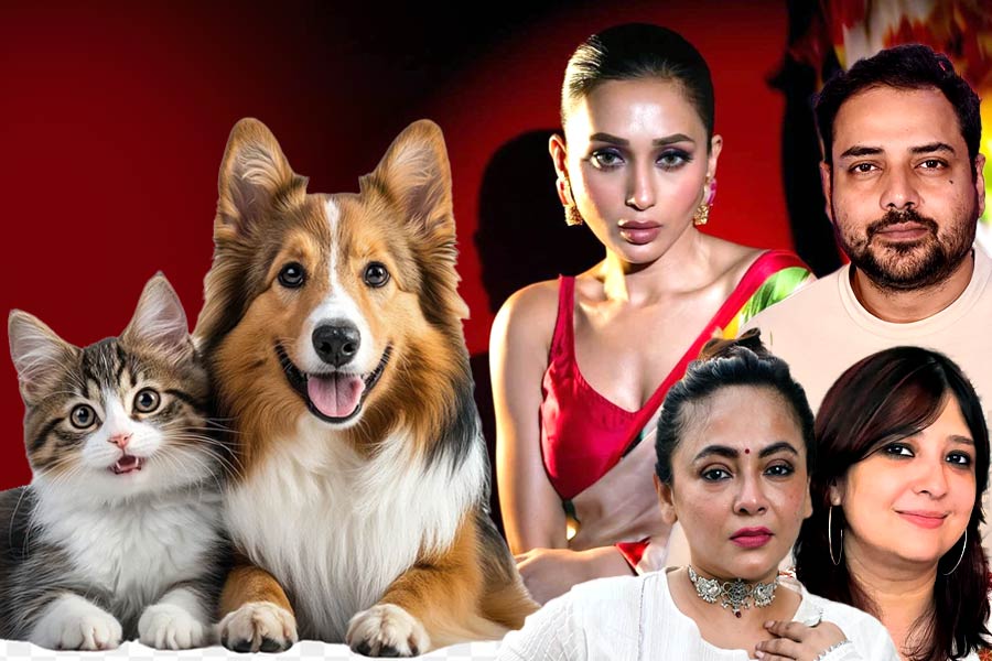 Tollywood personalities take extra care to keep their pets during Kali Puja and Diwali