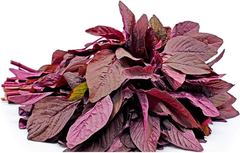 লাল শাক- প্রচুর পরিমাণে ভিটামিন ই থাকার জন্য, চোখের দৃষ্টিশক্তি বাড়াতে সাহায্য করে। 