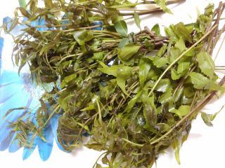 নিম- ডায়াবেটিস নিয়ন্ত্রণ ছাড়াও নিমের জীবনদায়ী গুণ ত্বকের যে কোনও সমস্যার সমাধান করে।