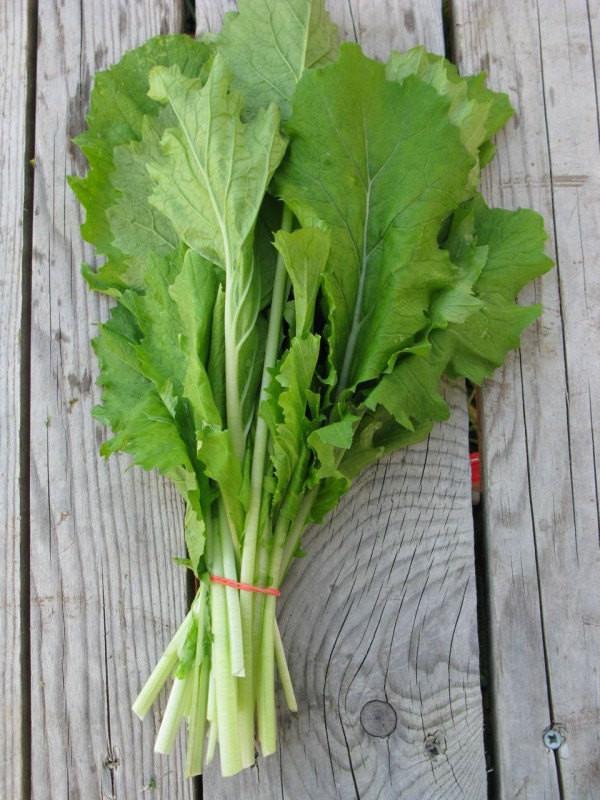 সর্ষে শাক - লিভারের সমস্যার জন্য খুবই উপকারী এই শাক। এ ছাড়াও চোখের দৃষ্টিশক্তি বাড়ায়।