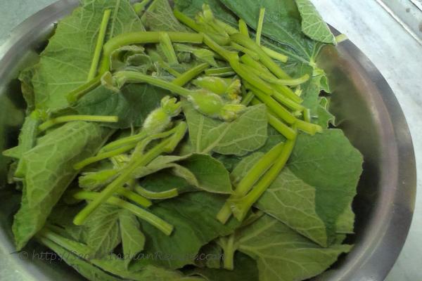 লাউ শাক- শক্তিবর্ধক ও দুর্বলতা কমানোর জন্য উপকারী লাউ শাক। 