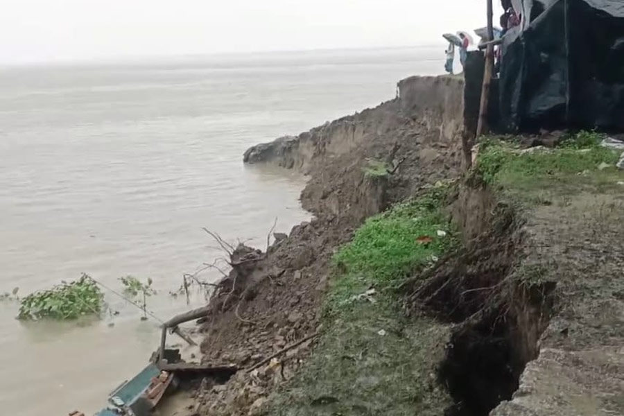 শমসেরগঞ্জে নতুন করে শুরু হয়েছে গঙ্গাভাঙন।