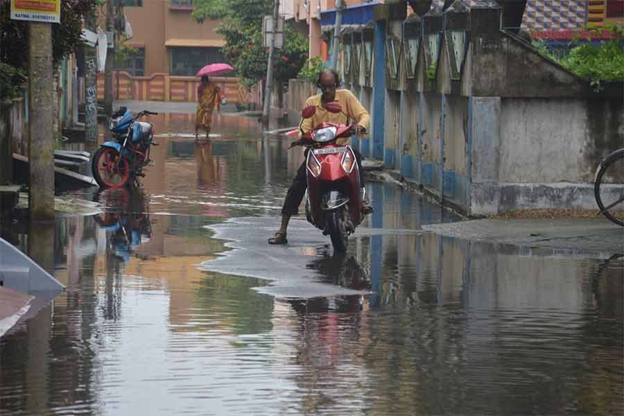 কাটোয়ার আবাসনপল্লিতে পথে। নিজস্ব চিত্র