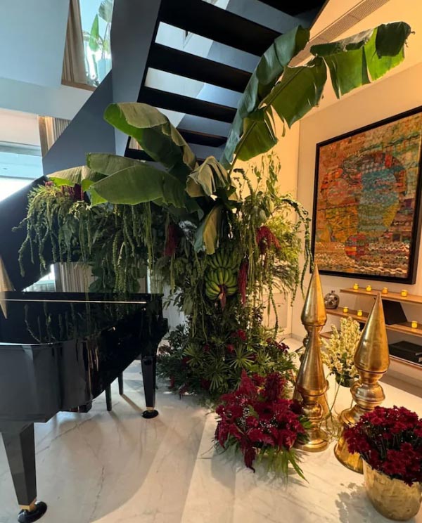 শাহিদ কপূরের বাড়ির সজ্জা।