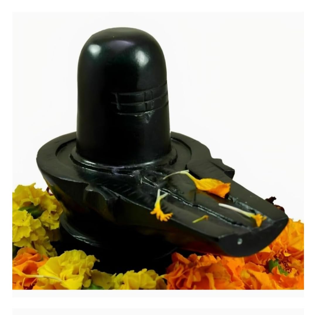 পরদিন সেই ব্রাহ্মণ সত্যিই এই শিবমূর্তি খুঁজে পান। স্বপ্নাদেশের কথা স্থানীয়দের বলায় সবাই মিলেই এই মন্দির গড়ে তুলে মহাদেবকে প্রতিষ্ঠা করা হয় সেখানে।