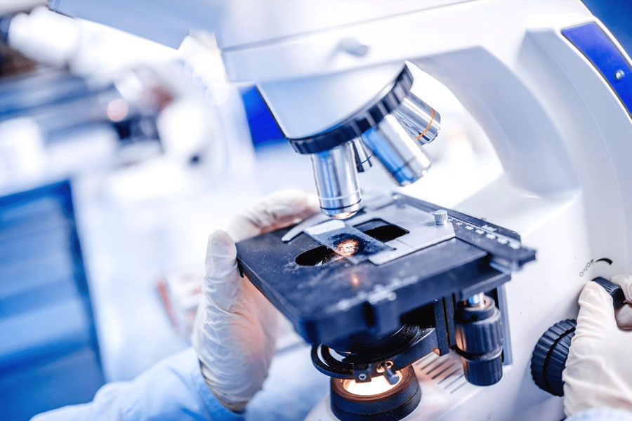 New species of tardigrade found that can resist huge radiation 